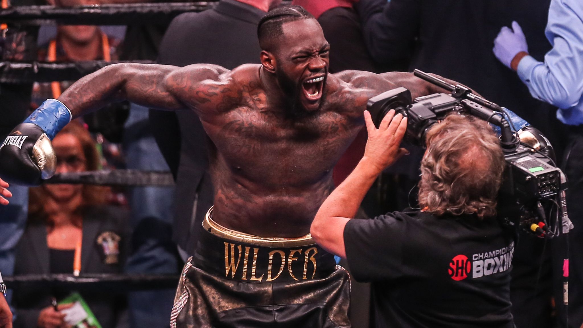 skysports deontay wilder bronze bomber 4924434 - Popping Fidgets